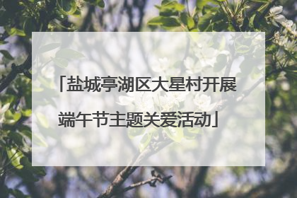 盐城亭湖区大星村开展端午节主题关爱活动